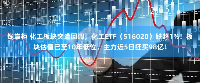 钱掌柜 化工板块突遭回调，化工ETF（516020）跌超1%！板块估值已至10年低位，主力近5日狂买98亿！