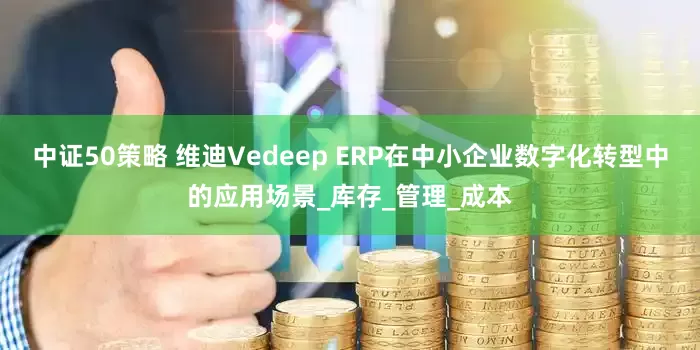 中证50策略 维迪Vedeep ERP在中小企业数字化转型中的应用场景_库存_管理_成本