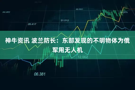 神牛资讯 波兰防长：东部发现的不明物体为俄军用无人机