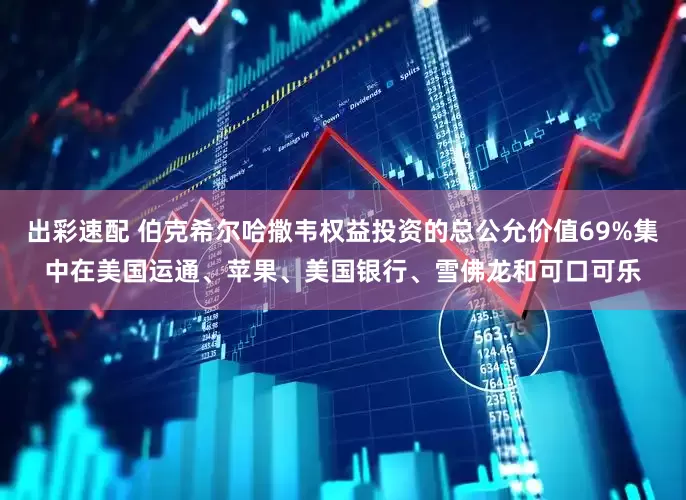 出彩速配 伯克希尔哈撒韦权益投资的总公允价值69%集中在美国运通、苹果、美国银行、雪佛龙和可口可乐