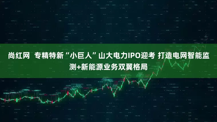 尚红网  专精特新“小巨人”山大电力IPO迎考 打造电网智能监测+新能源业务双翼格局