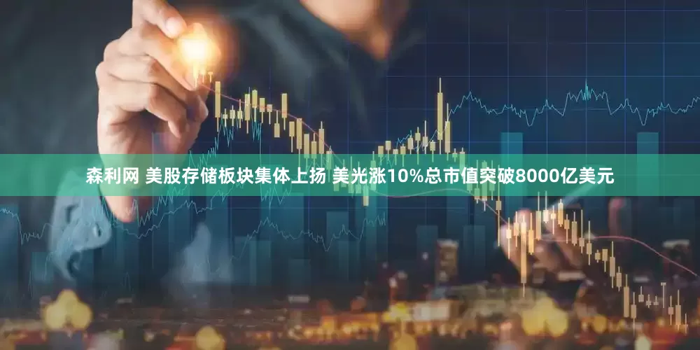 森利网 美股存储板块集体上扬 美光涨10%总市值突破8000亿美元