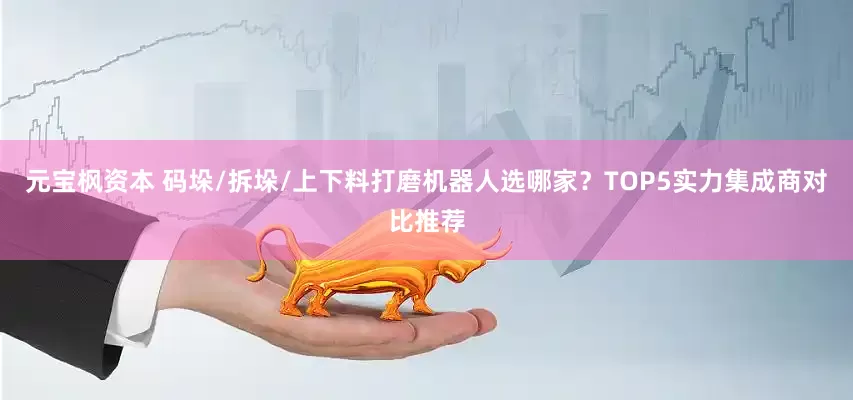元宝枫资本 码垛/拆垛/上下料打磨机器人选哪家？TOP5实力集成商对比推荐